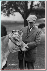 Henry Cantwell Wallace, looking at Fern's Oxford Triumph, a cow